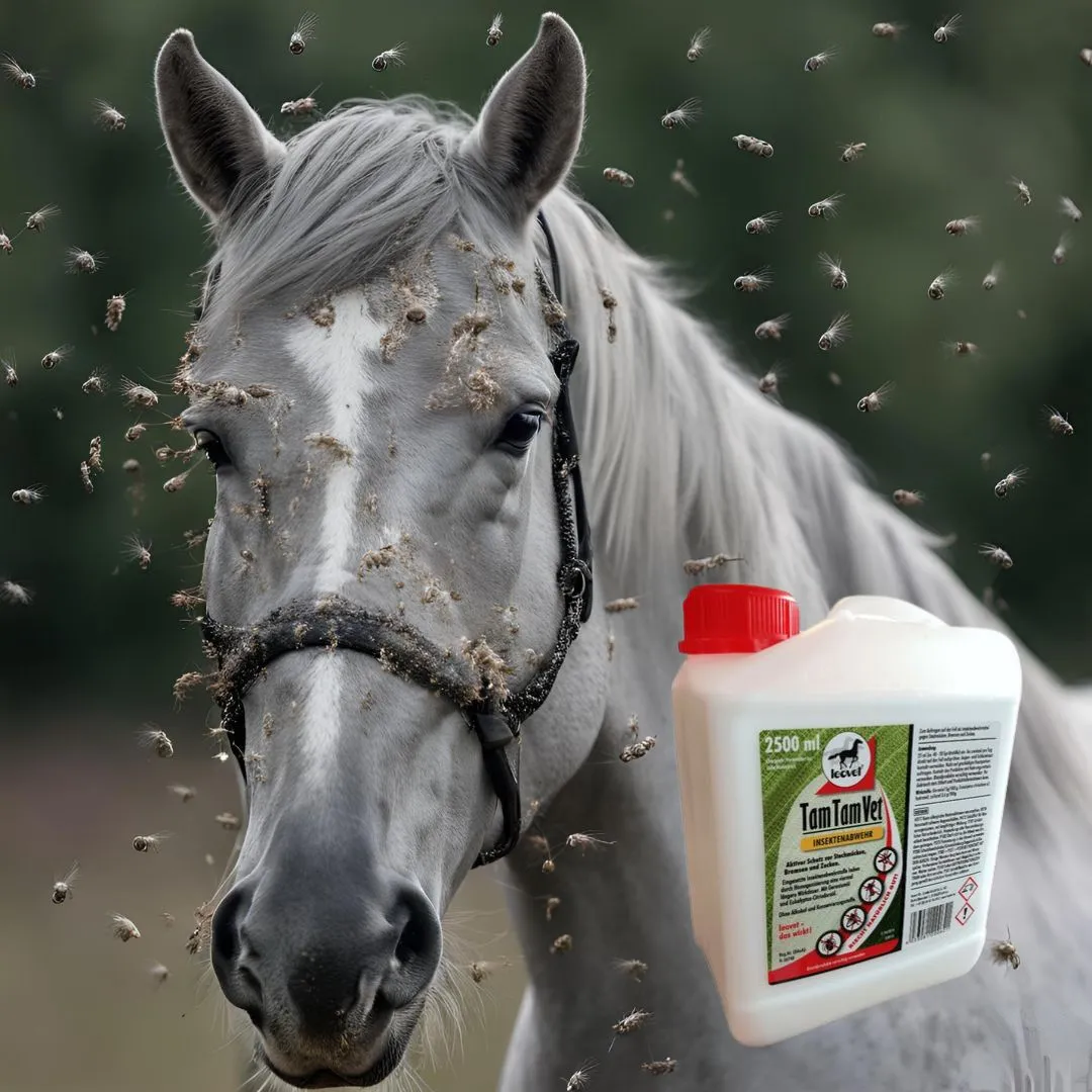 Bidon de recharge d'anti-mouche TAM TAM VET de Leovet 2,5L – Image 2